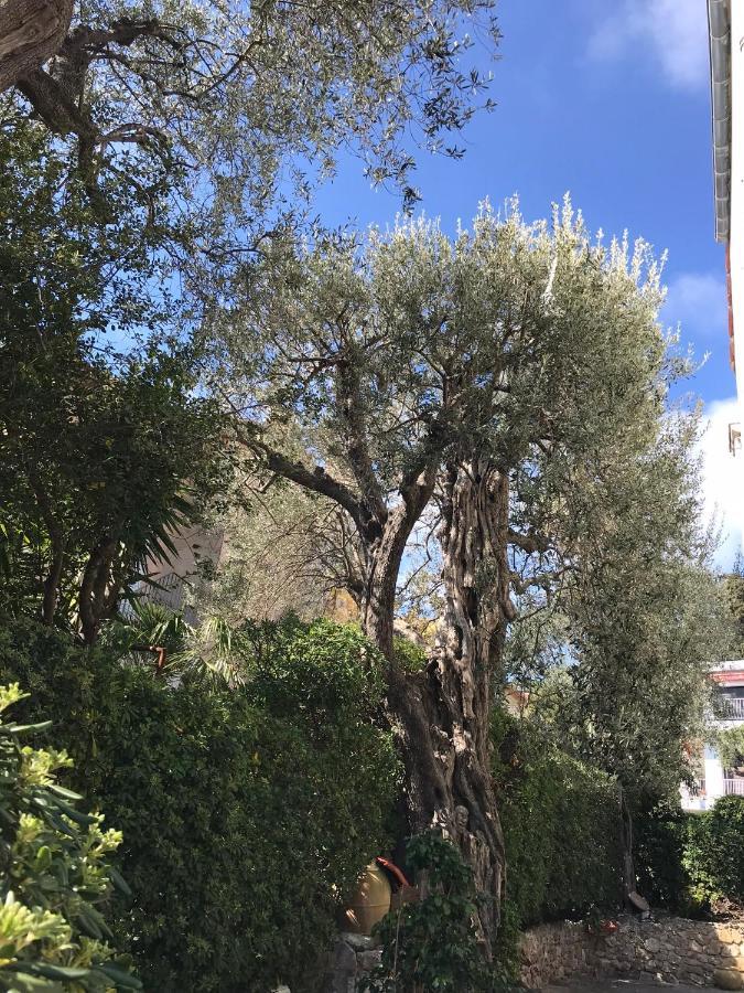 "L'Olivadou" St Jean Cap Ferrat Διαμέρισμα Saint-Jean-Cap-Ferrat Εξωτερικό φωτογραφία