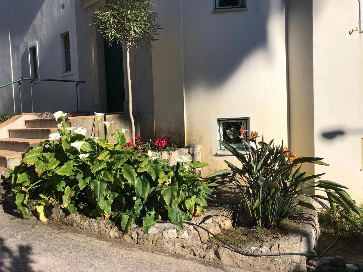 "L'Olivadou" St Jean Cap Ferrat Διαμέρισμα Saint-Jean-Cap-Ferrat Εξωτερικό φωτογραφία