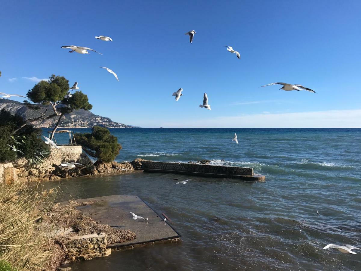 "L'Olivadou" St Jean Cap Ferrat Διαμέρισμα Saint-Jean-Cap-Ferrat Εξωτερικό φωτογραφία